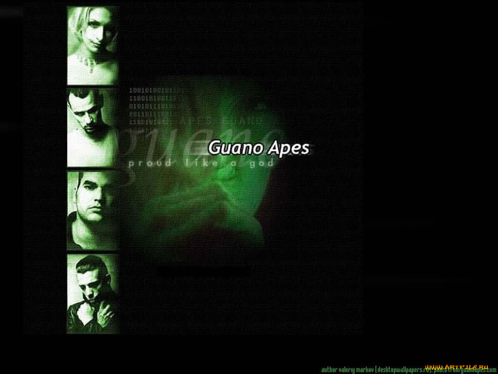 guano, apes, 
